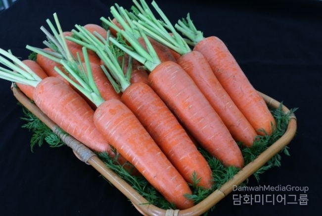 탐라홍