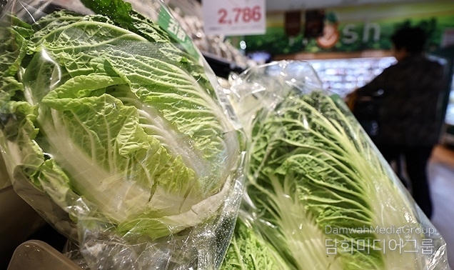 정부, 여름철 물가 불안요인에 선제 대응…마늘·배추 등 수급관리