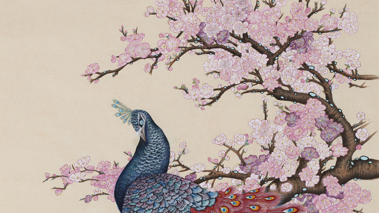 [담화총사 미술 칼럼] 찬란한 생의 찰나, 공작이 피운 봄...박현정 작가의 〈공작도〉
